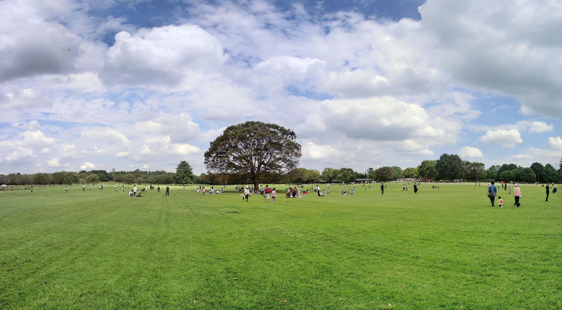 昭和記念公園でキャッチボールは可能？2026最新ルールと注意点