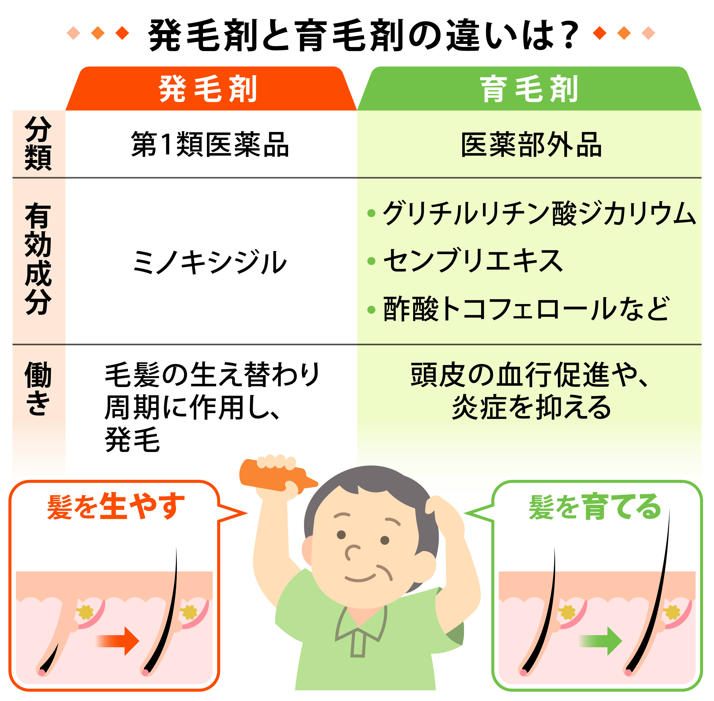 育毛と発毛の決定的な違いとは？2026年最新の薄毛対策ガイド