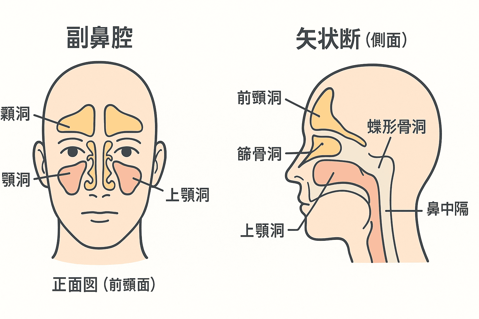 気骨とは？読み方や意味・反骨精神との違いを徹底解説