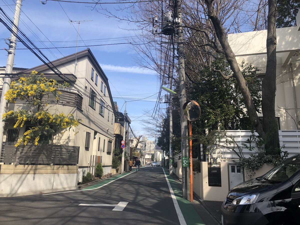 世田谷三大地主の名字と豪邸はどこ？莫大な資産と相続税の真相を徹底解説
