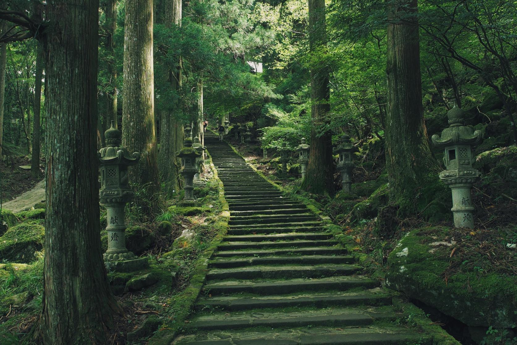 高住神社の真相｜怖いと噂される理由と天狗信仰の強力なご利益