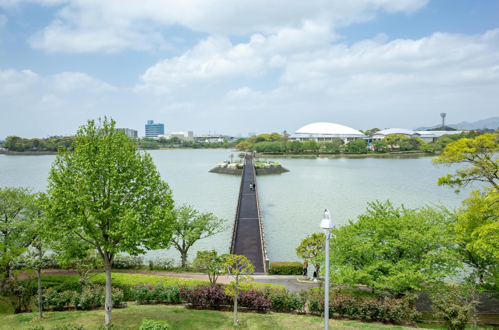 福岡・駕与丁公園の真実｜バラ園見頃や一周距離とネットの噂を徹底追跡