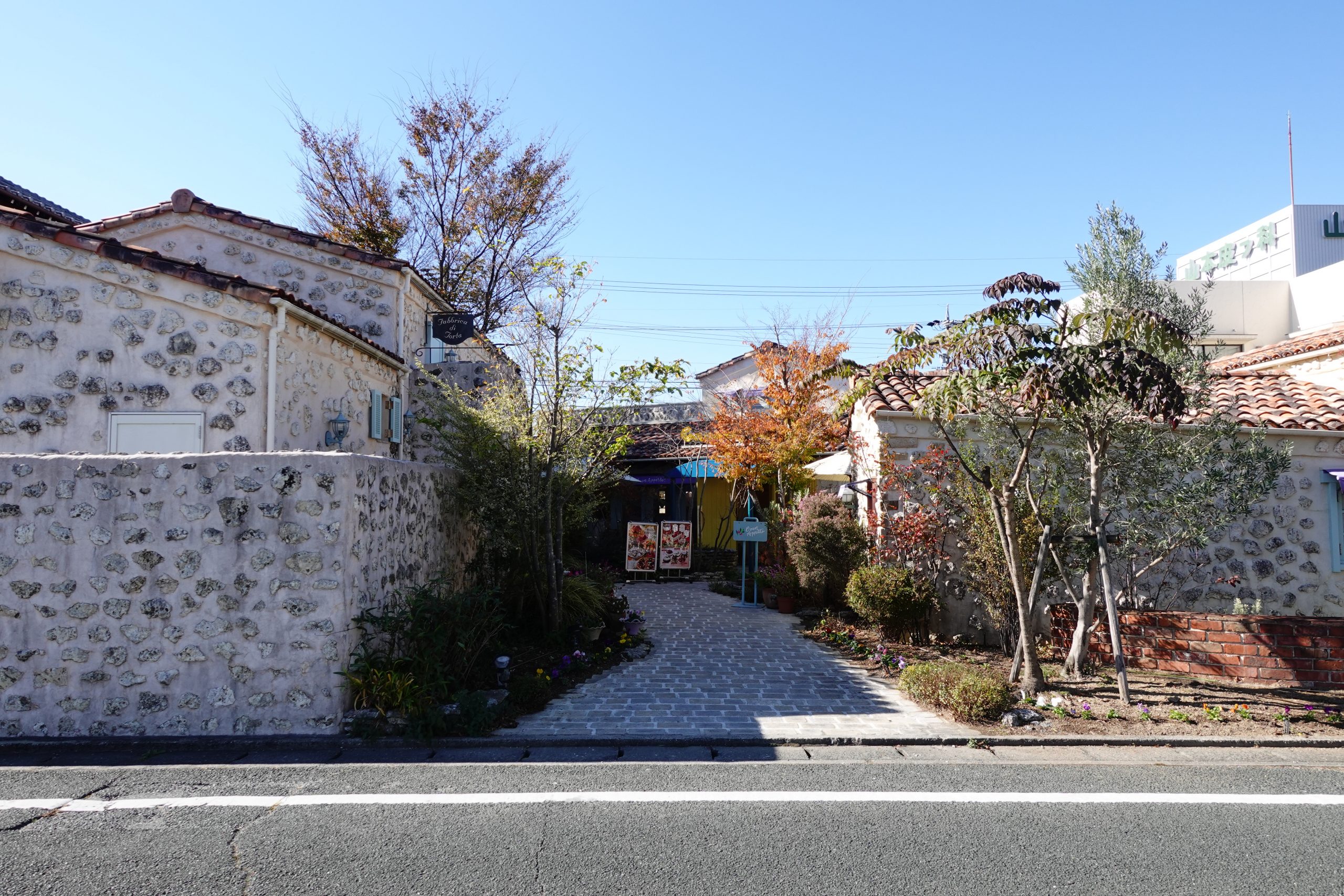 キャナリーロウ本店の違いとは？前菜バイキングと予約攻略法を徹底解説