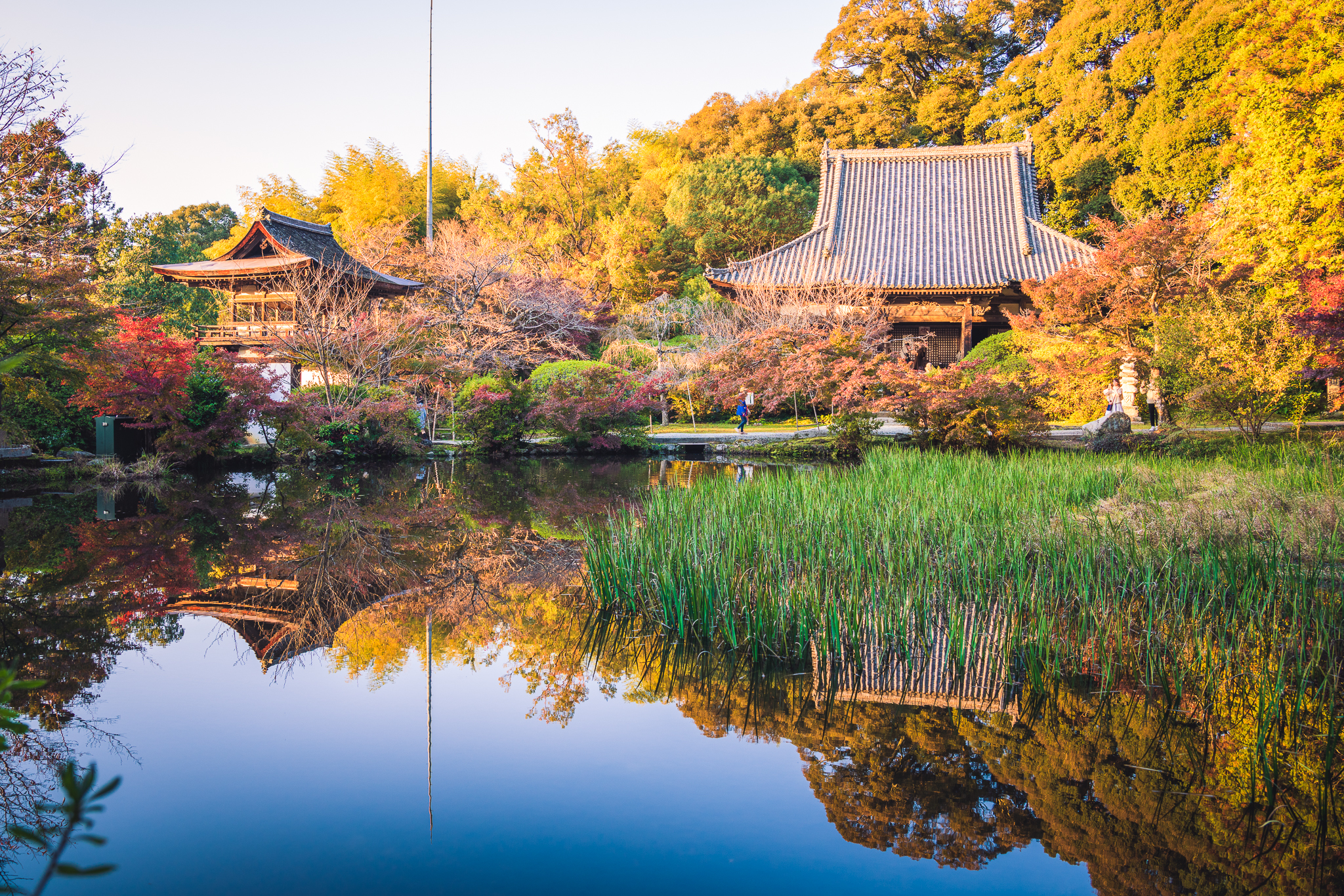 奈良・長岳寺の魅力解剖！ツツジと紅葉の絶景や地獄絵の真相に迫る