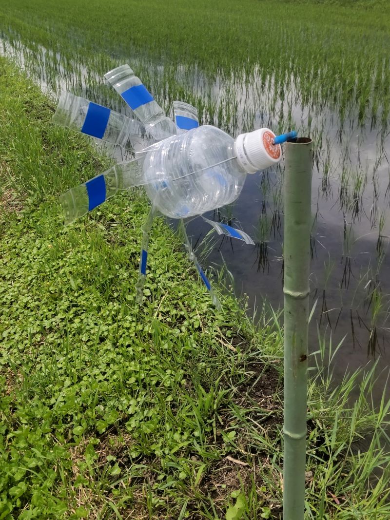 モグラ除け風車は効果なし？噂の真相と自作撃退法を現場から徹底検証