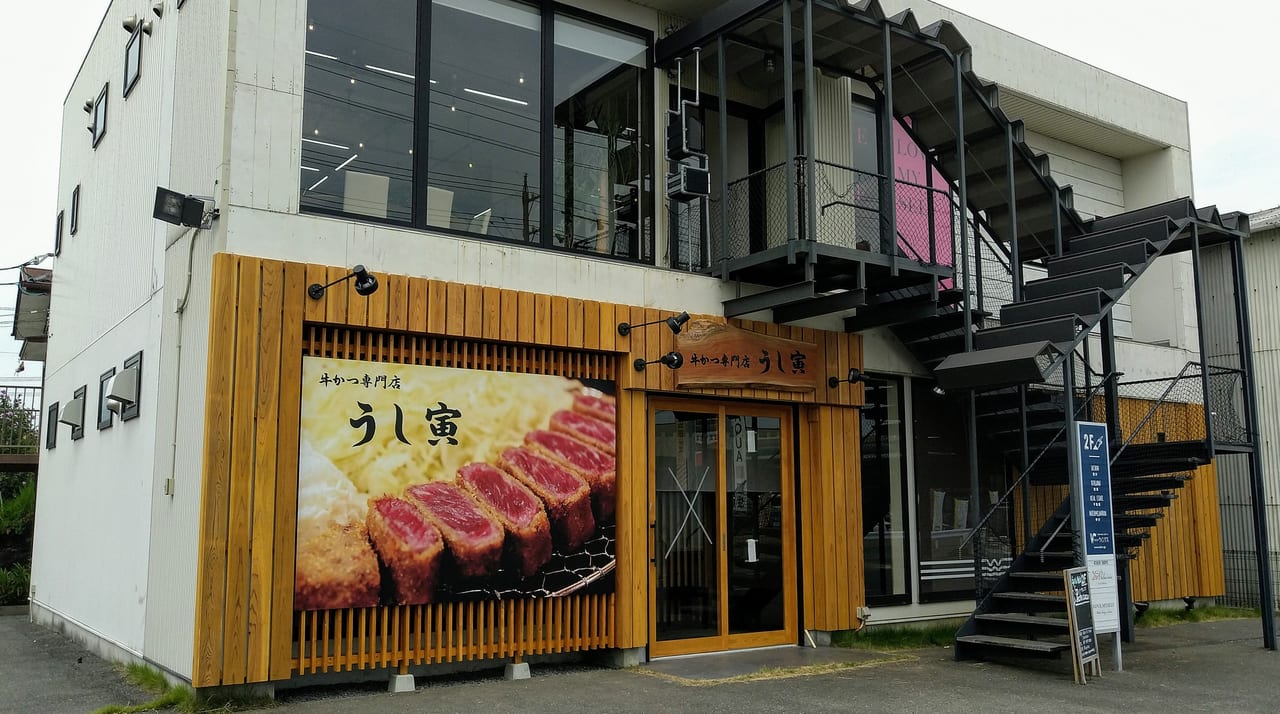 牛かつ専門店うし寅の真相｜待ち時間や予約・極上肉の魅力を徹底検証