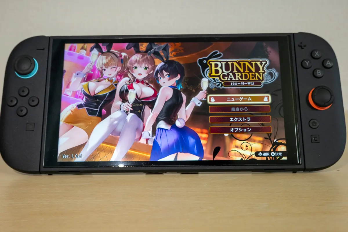 バニーガーデン2のSwitch規制は？Steam版との違いとCeroの真相