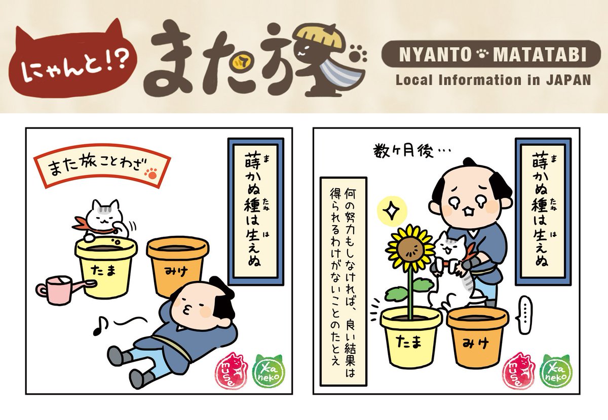 蒔かぬ種は生えぬの意味とは？ビジネスで差がつく使い方と教訓の本質