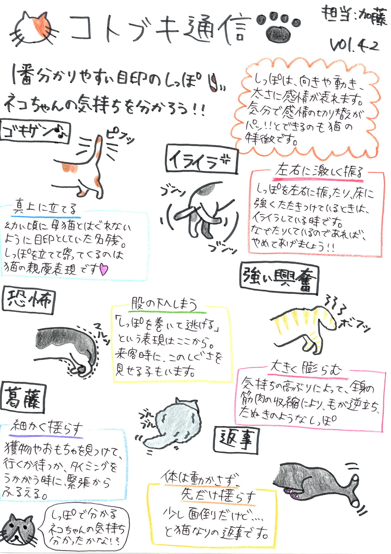 猫が尻尾を左右に振る心理とは？振り方で見抜く機嫌と犬との違い