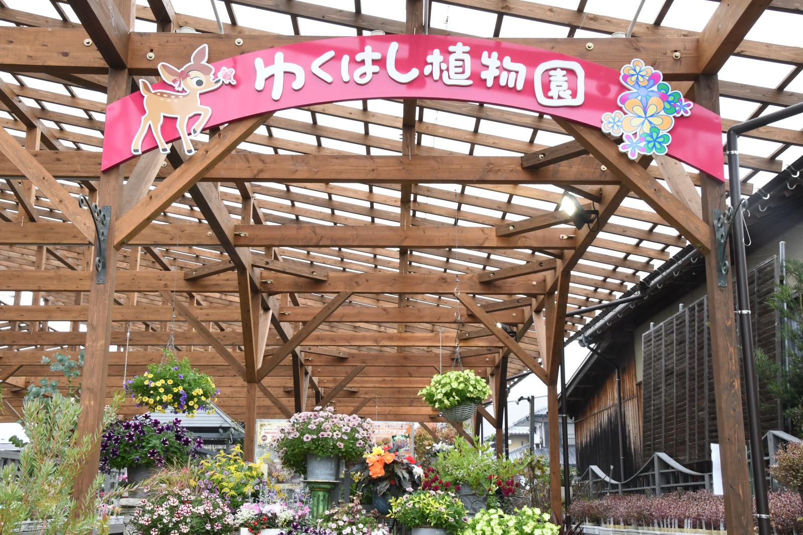 福岡・ゆくはし植物園の魅力とは？カフェ＆入荷情報と混雑徹底攻略