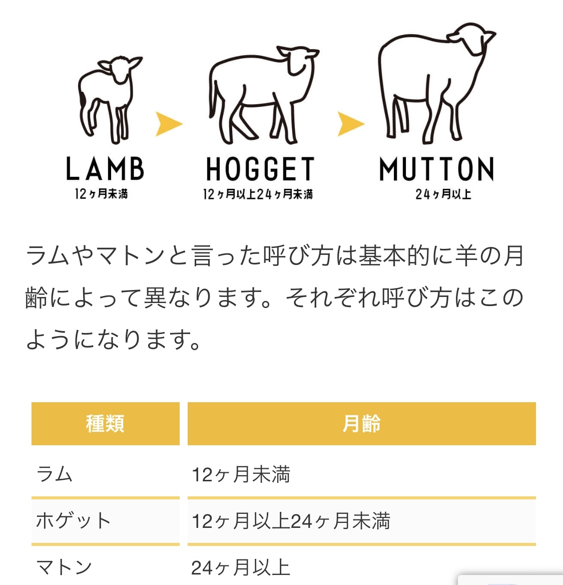 マトンとラムの違いとは？臭みの真相や年齢基準・栄養まで徹底比較