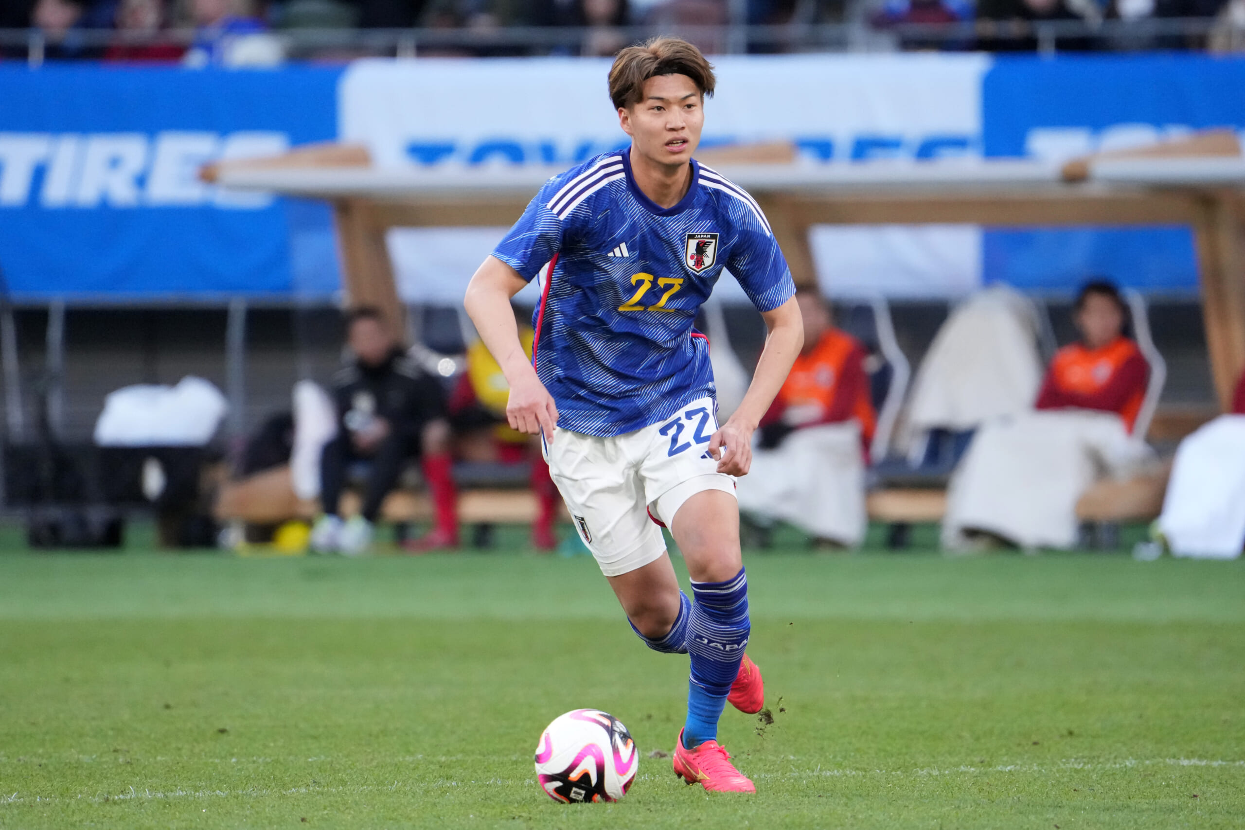 【藤井陽也】注目を集める理由と現在、知られざる経歴の真相を徹底解説