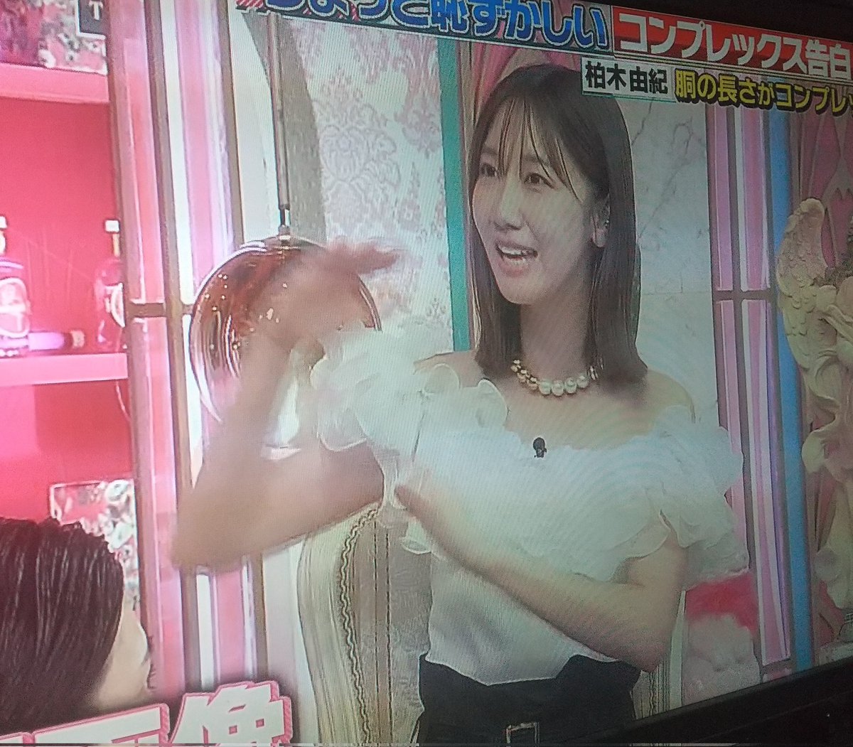 柏木由紀と愛犬ダックスフンドの絆！名前や現在の様子と溺愛秘話を徹底解剖