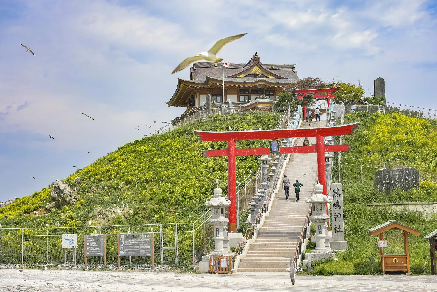 2026年版八戸観光スポット決定版！海鮮グルメから地元民が推す穴場まで