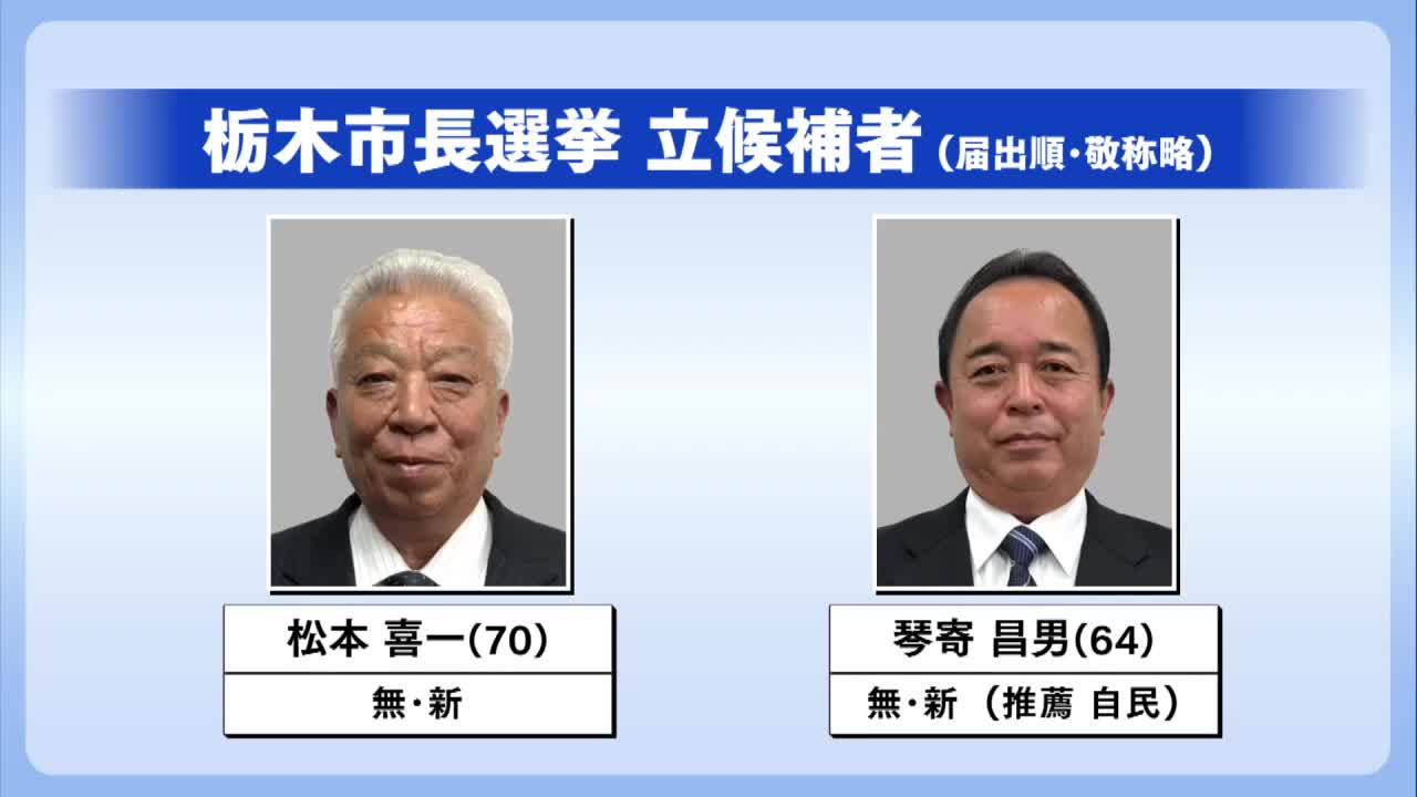 栃木市選挙の最新開票速報と当落結果！注目の市長選・市議選総まとめ