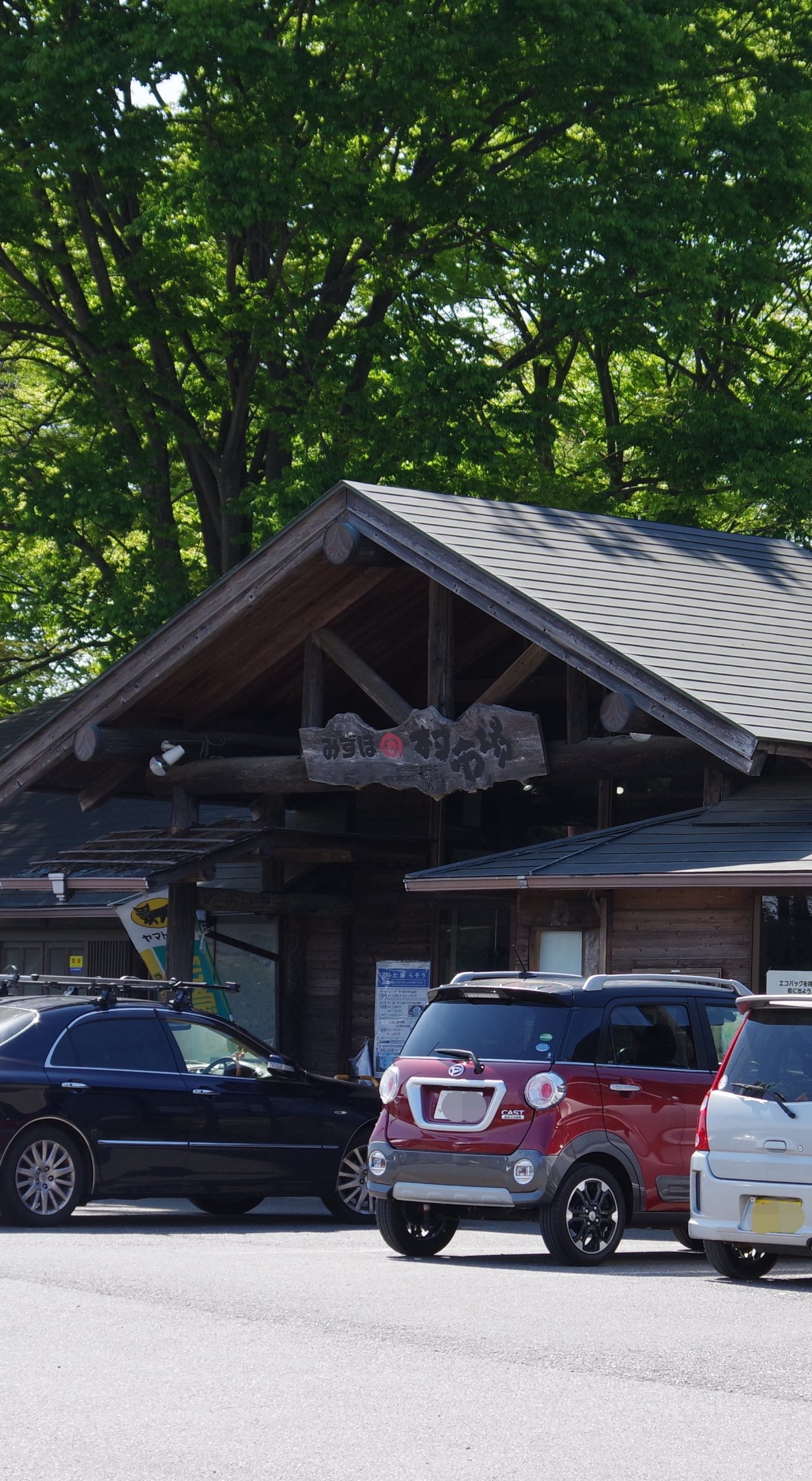 なぜ選ばれる？つくばみずほの村市場の絶品野菜と人気ランチを徹底解説！
