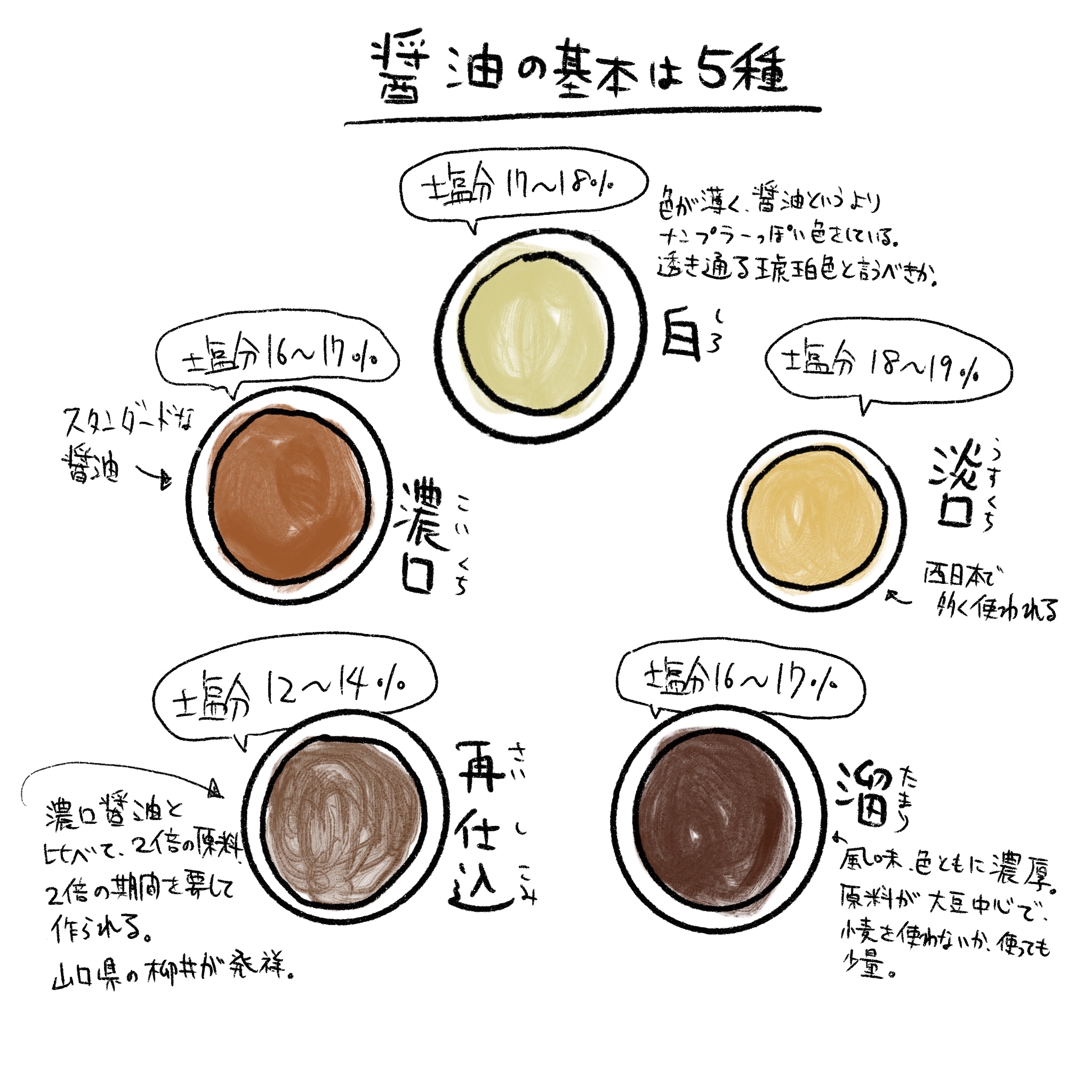 薄口と濃口醤油の違いとは？塩分の真相と料理の使い分け完全ガイド