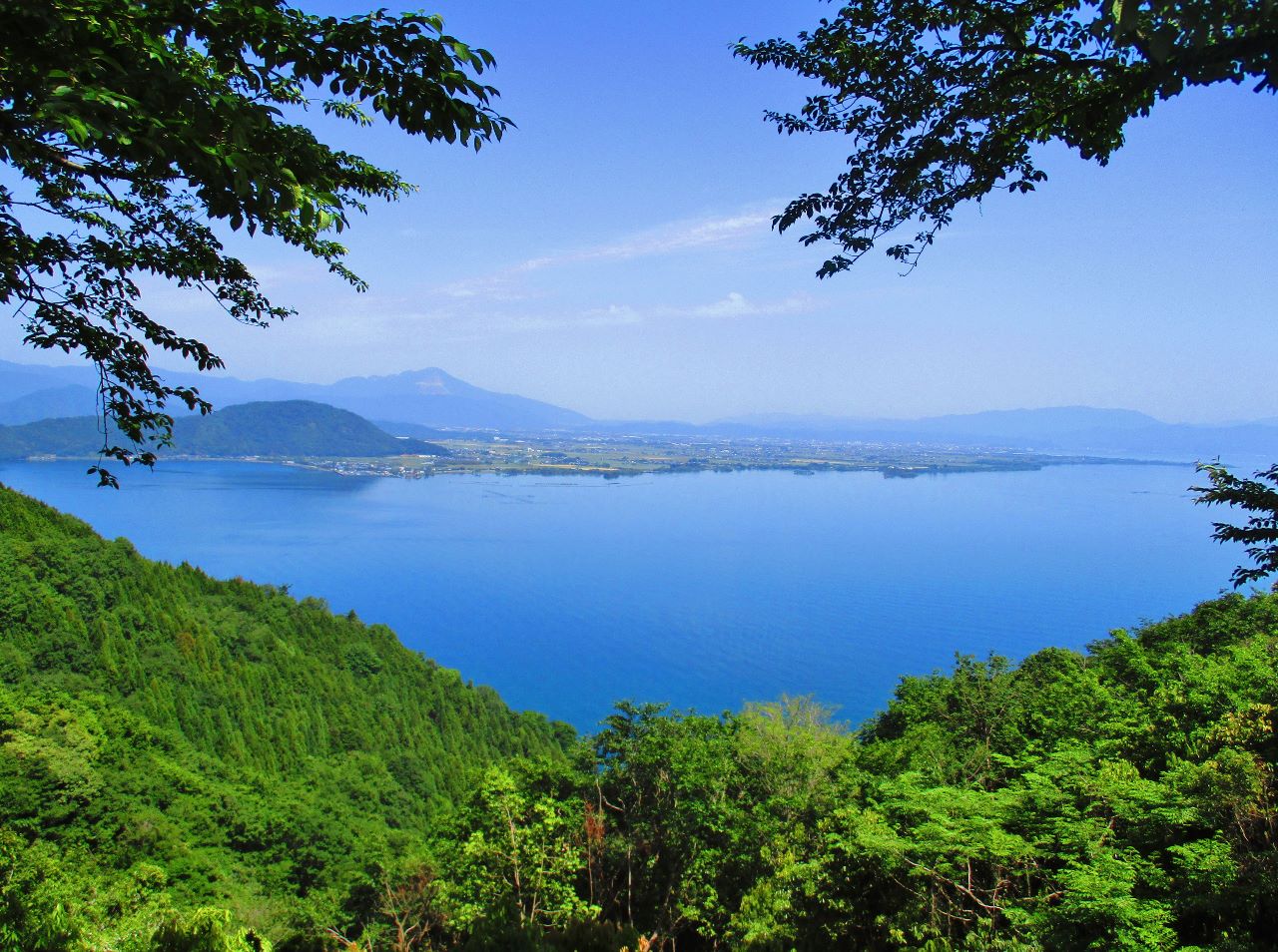 奥琵琶湖パークウェイの現在と一方通行の真相｜桜見頃や通行規制を徹底検証