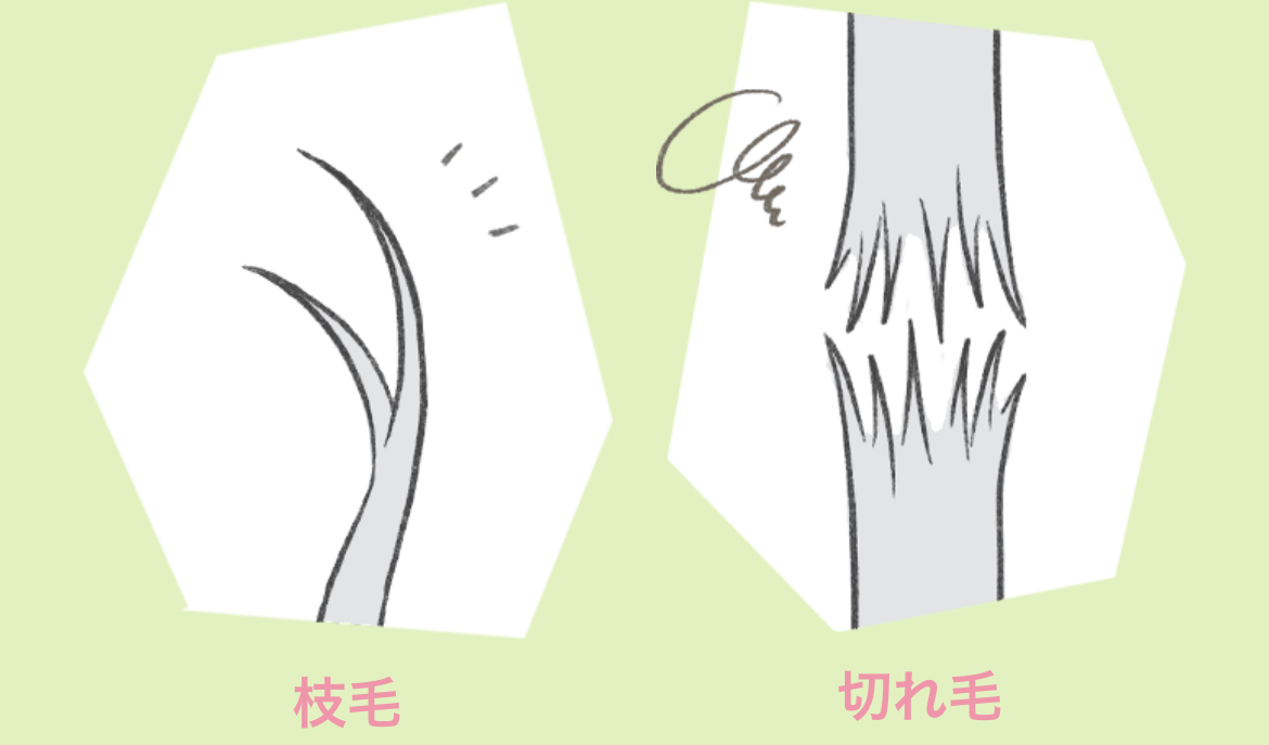 枝毛を裂く快感の罠！髪が破壊される理由と無意識の癖を止める脱出法