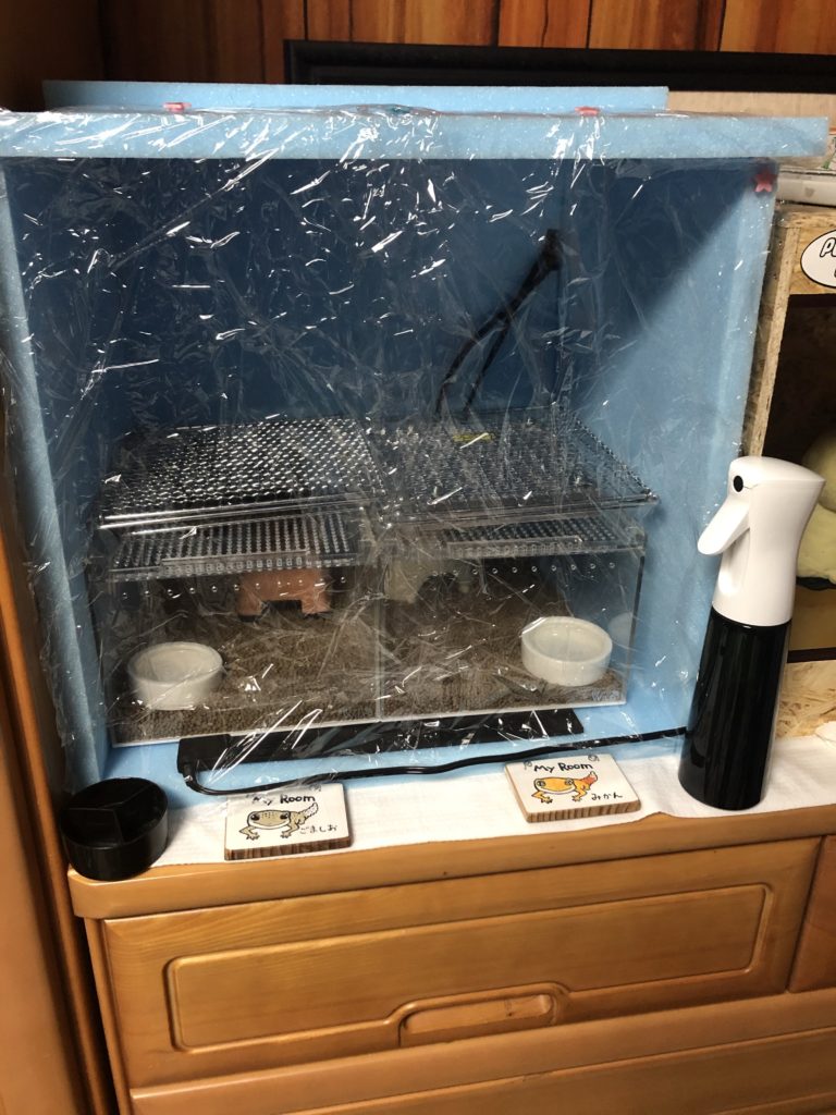 爬虫類温室のスタイロフォーム自作術！真冬の保温と電気代節約の全貌