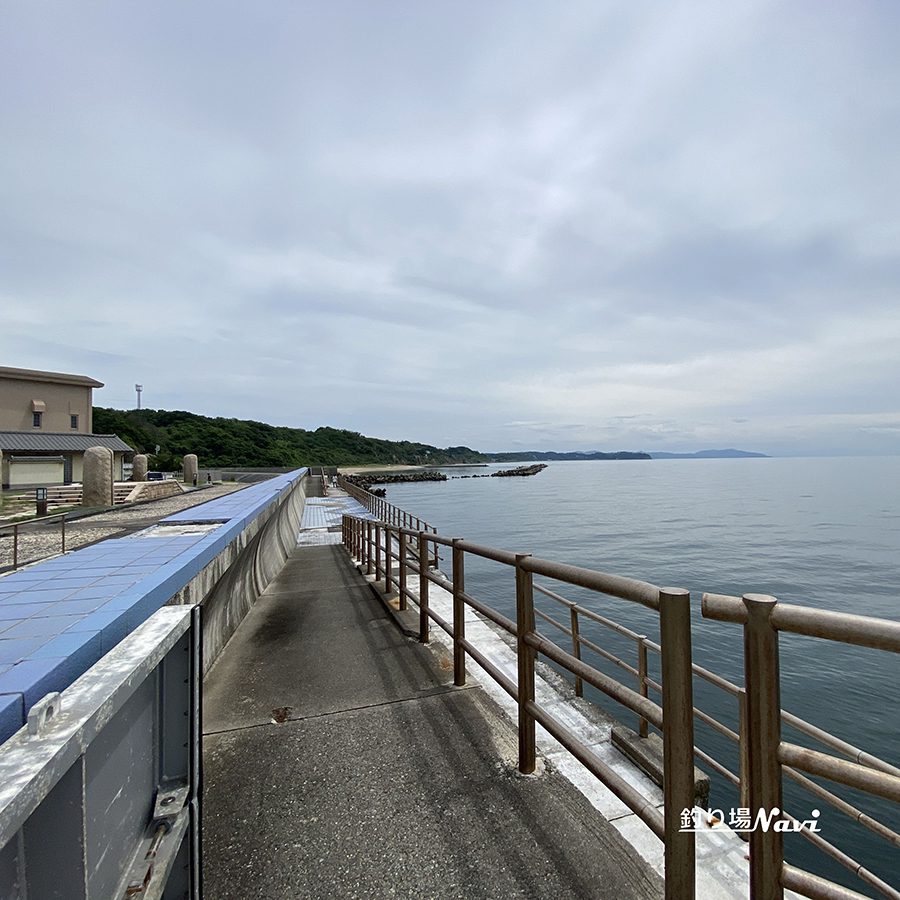 都志漁港は釣り禁止？2026最新の現場状況と釣果・ルール全真相