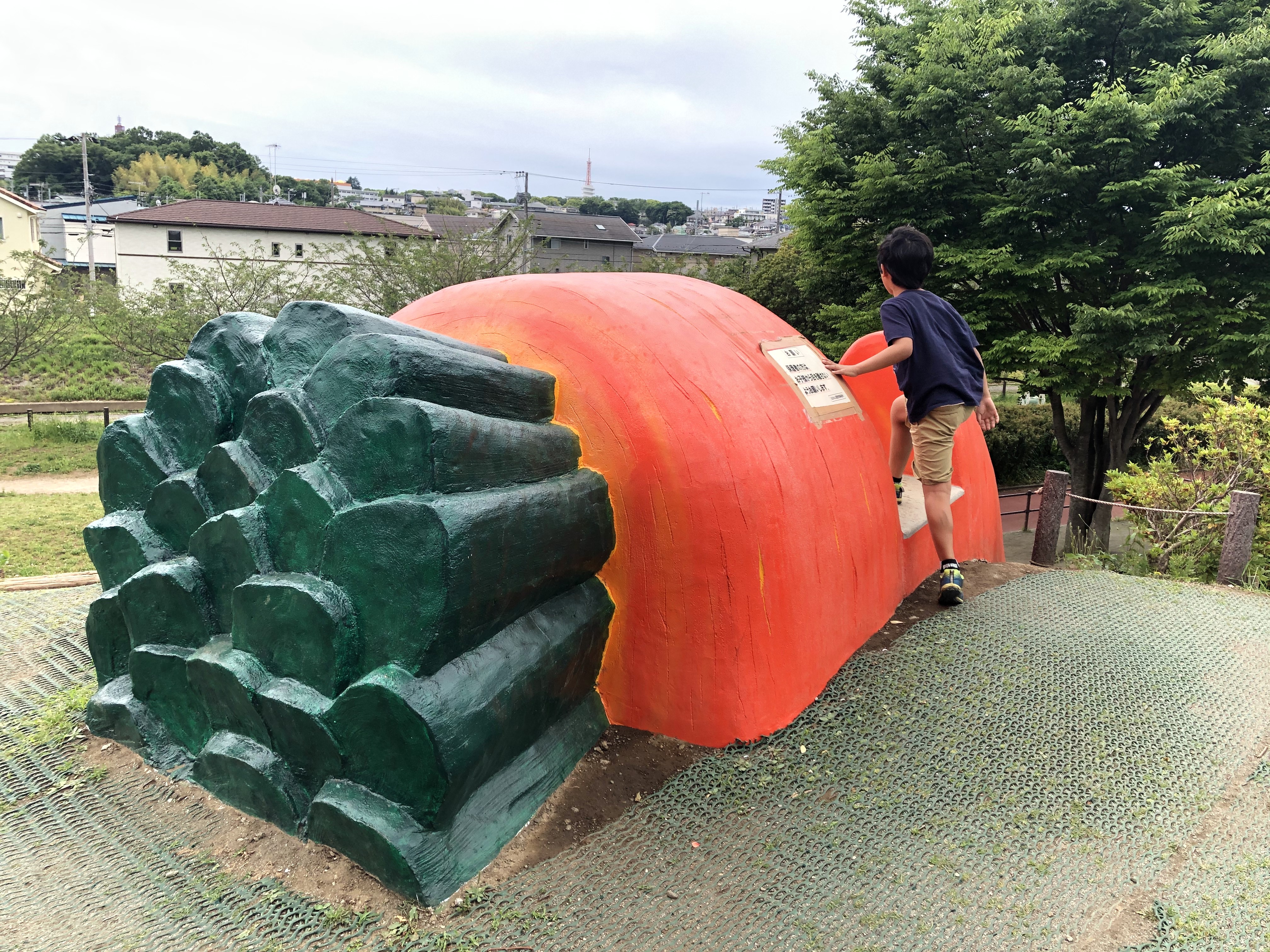 秦野市おおね公園を徹底解説！温水プール・駐車場が無料になる裏ワザとは？