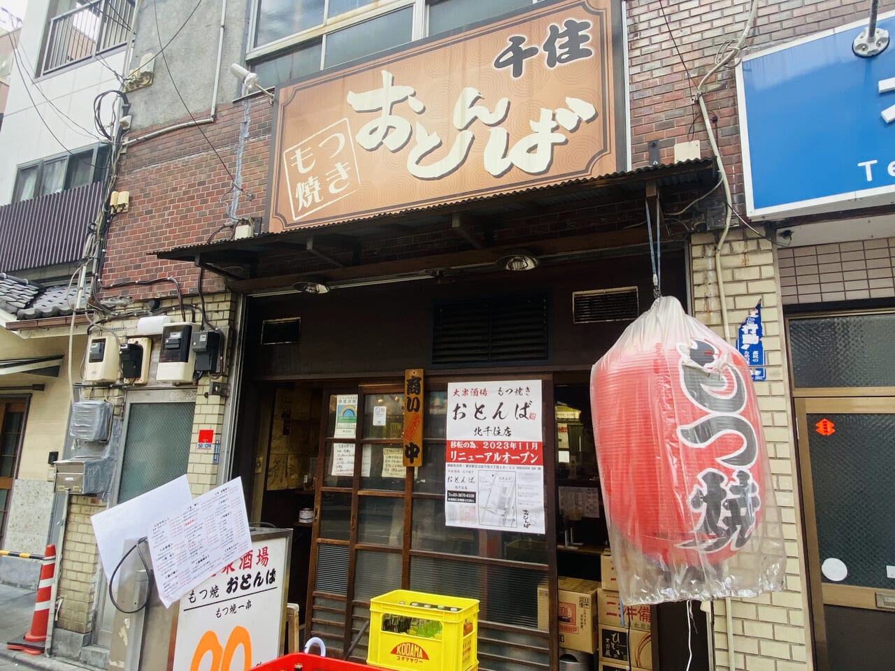 北千住おとんば完全攻略2026！名物レバ刺しと予約・混雑の真実