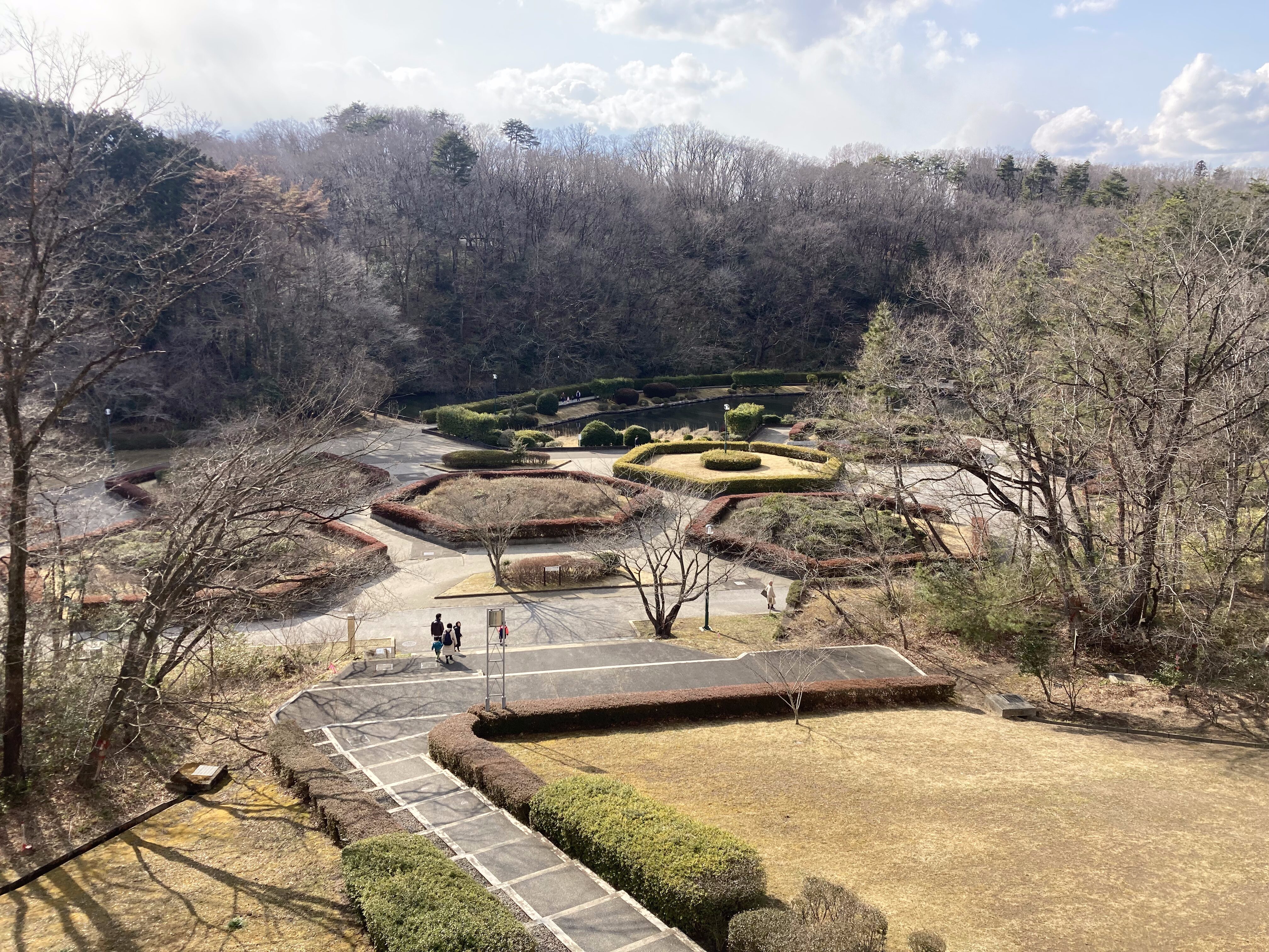 台原森林公園2026最新ガイド！無料駐車場や遊具・混雑攻略