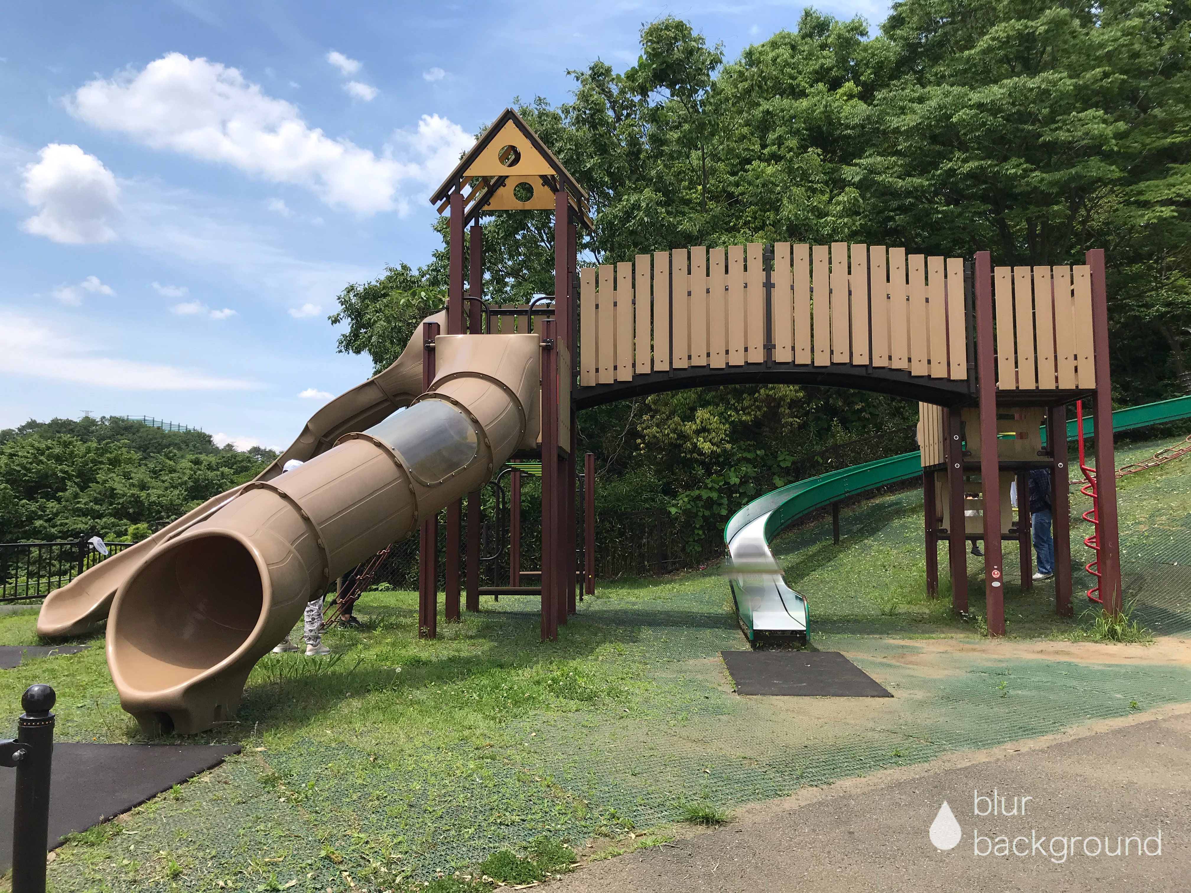 稲城中央公園の魅力を総力取材！人気カフェから駐車場混雑の真相まで