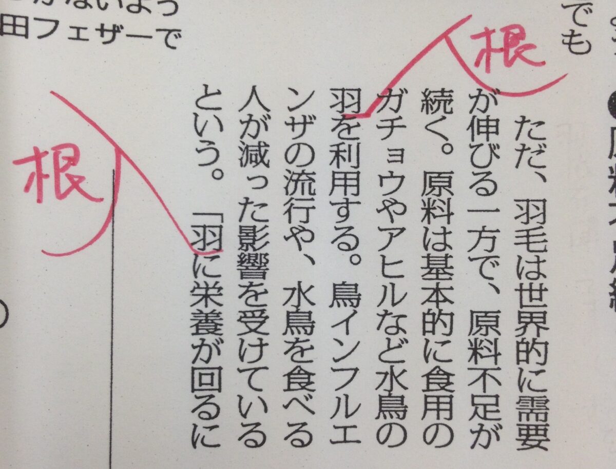 羽根と羽の違いとは？鳥の翼や扇風機で迷わない使い分けの正解
