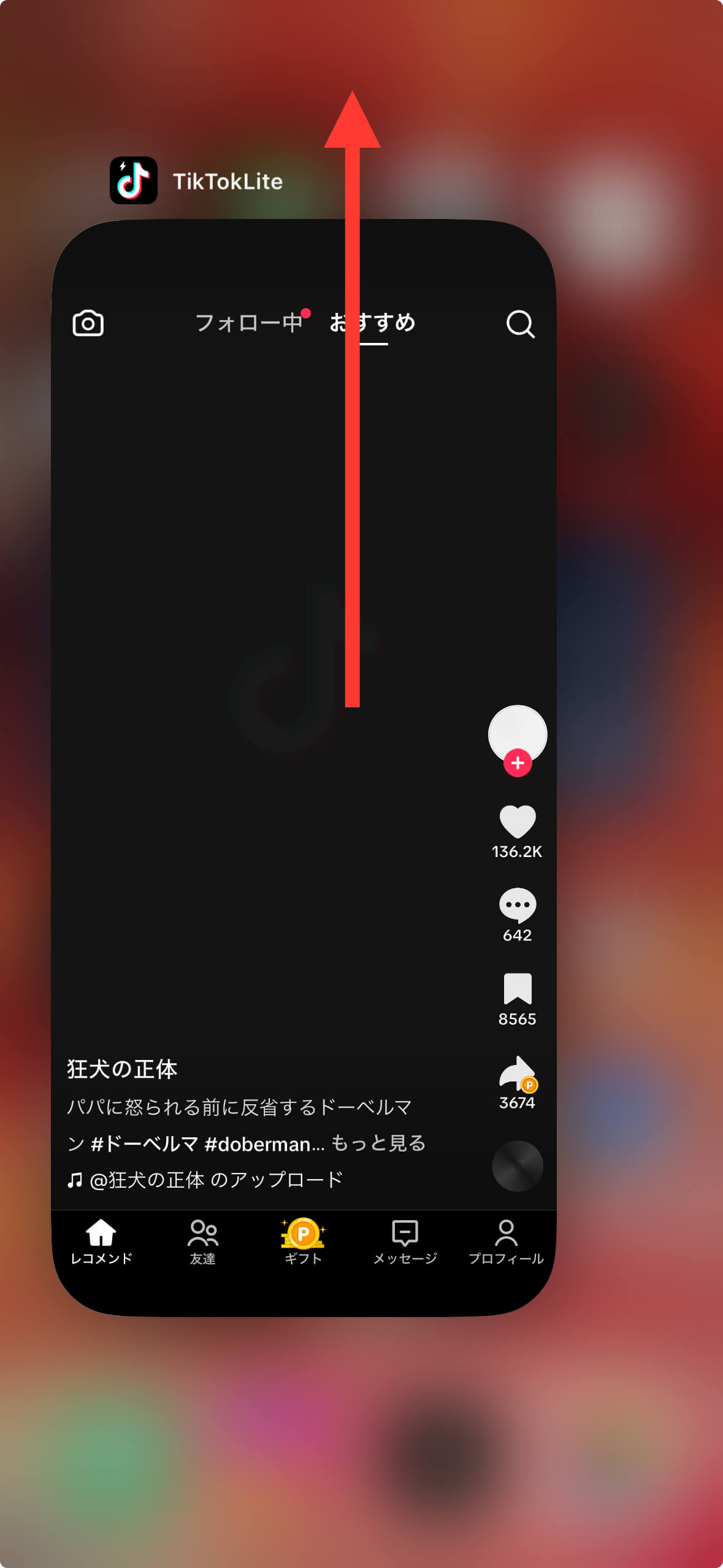 Tiktok Lite不明なエラーの真相！交換・チェックイン対処法2026