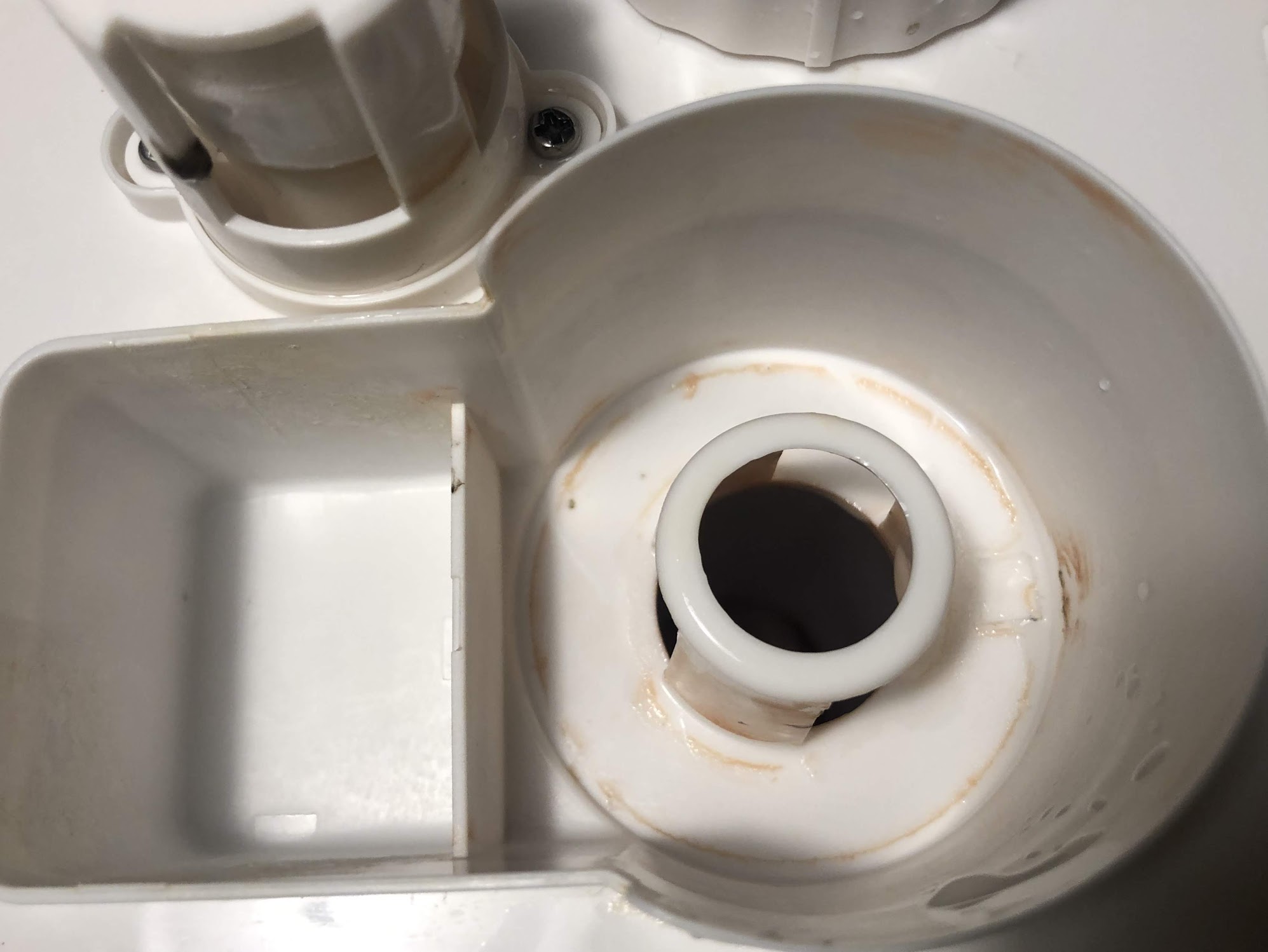 加湿器のカビ放置は超危険！咳・肺炎リスクと撃退掃除術の全貌