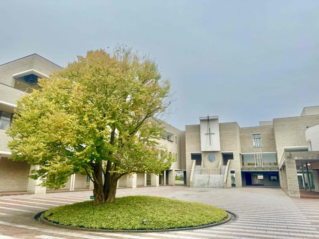 カリタス女子中学校の評判と偏差値｜進学実績と仏語教育の真実【2026】
