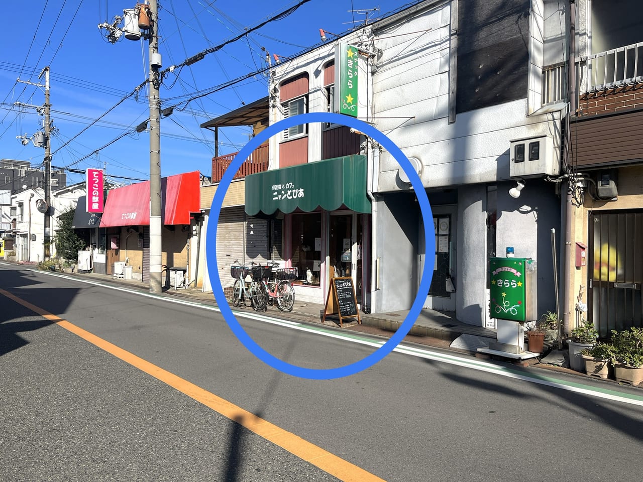 ニャンとぴあ2026の真相を独自調査！限定チケットと評判の全貌