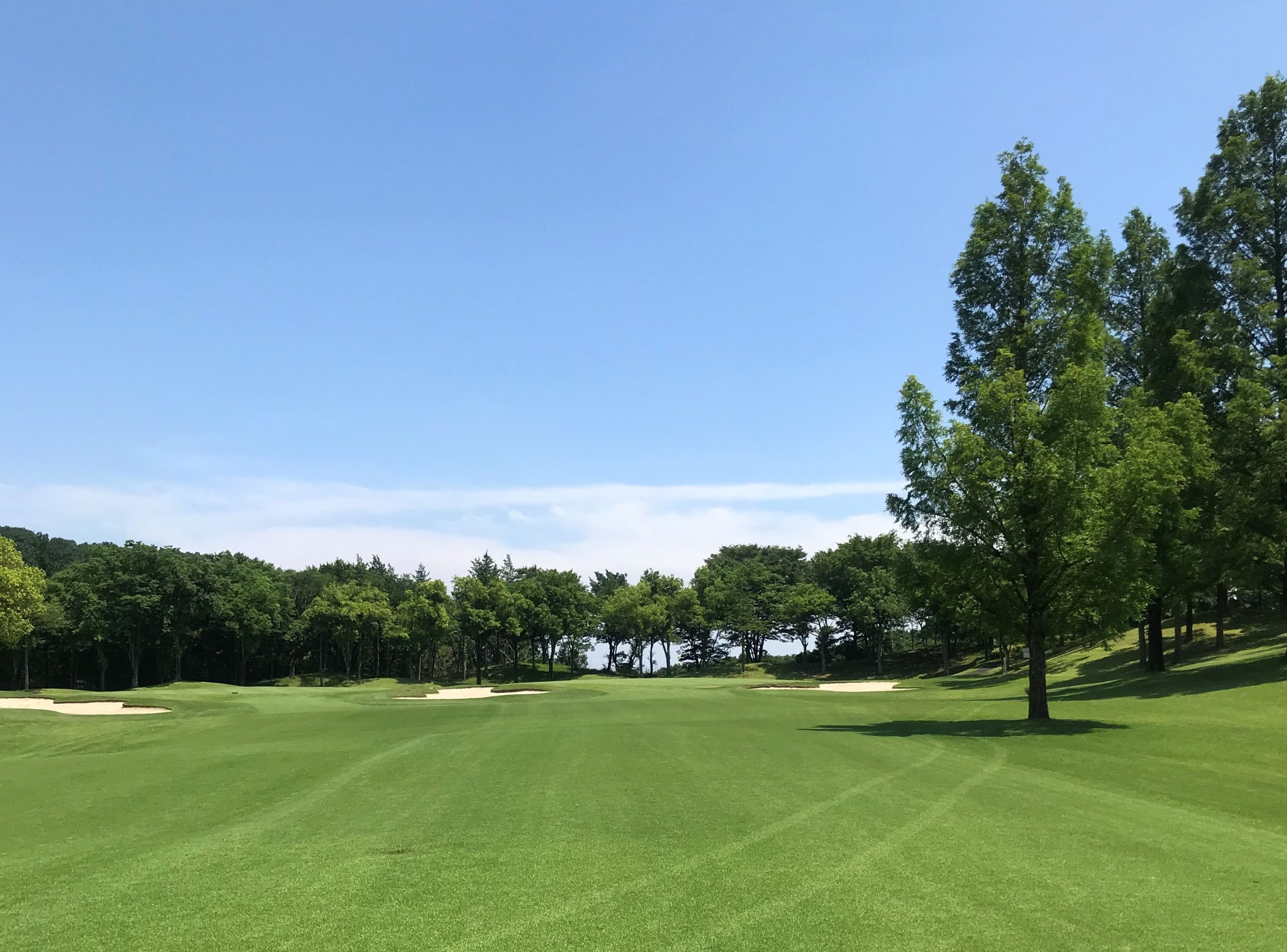 森林公園ゴルフ倶楽部は難しい？コース難易度と評判の真相を徹底検証