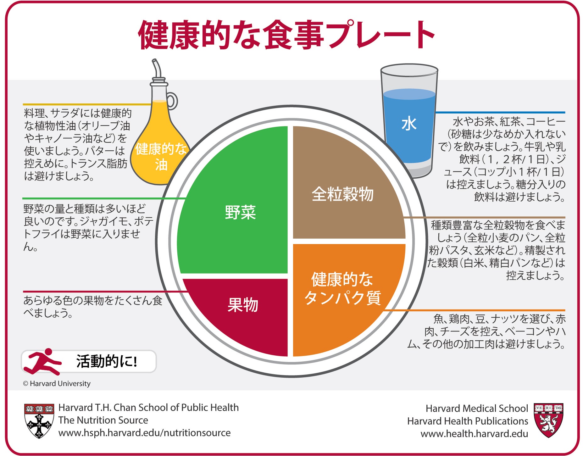 食と健康の新常識！良かれと思ったNg習慣の罠と科学が暴く寿命の真相