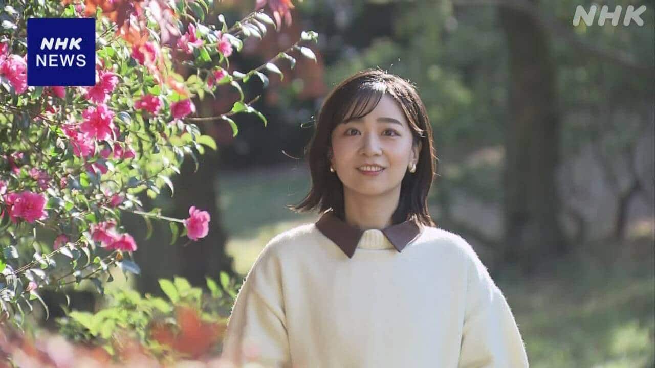 佳子さま誕生日の最新映像と結婚の真相！現在のお住まいと30歳の歩み