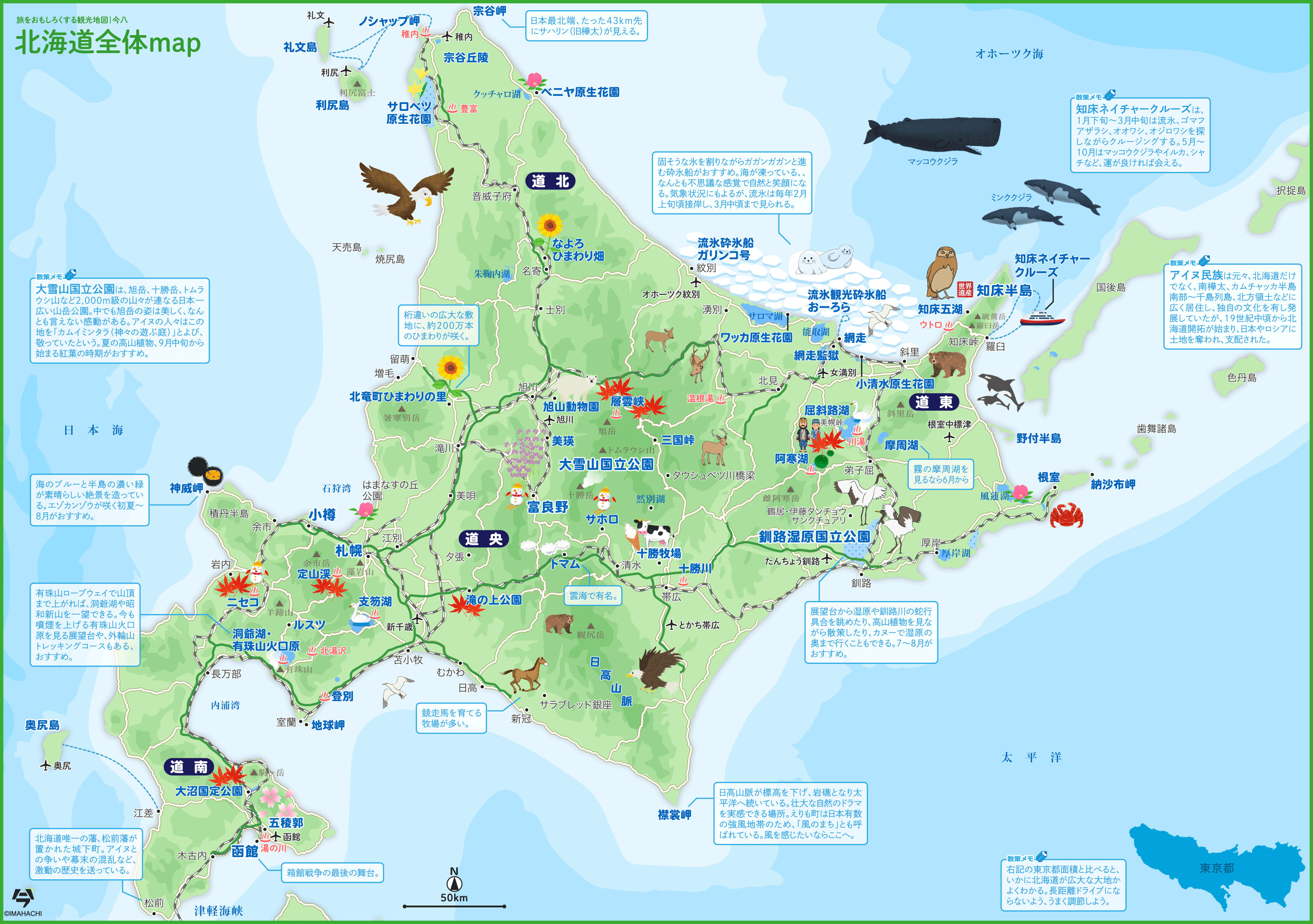 鳥取で北海道寿司が大人気の真相｜地元民が通う絶品回転寿司を完全解説