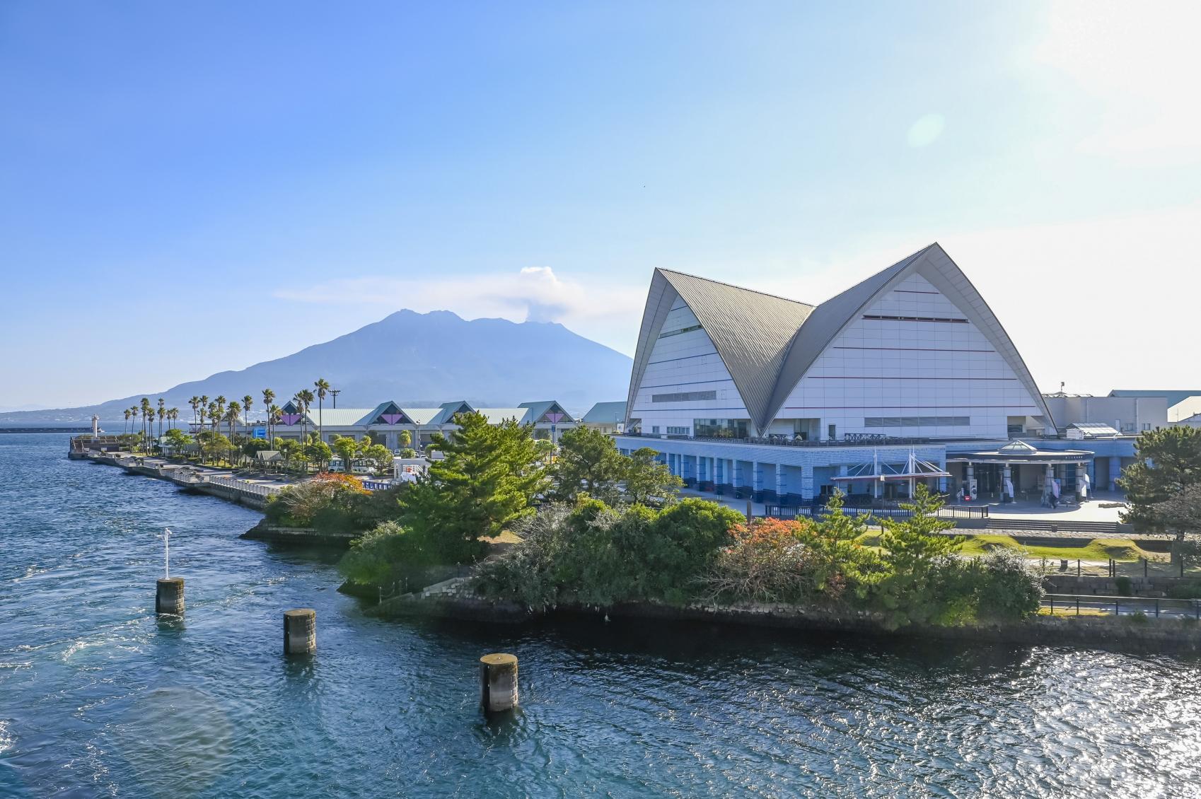 いおワールドかごしま水族館完全攻略！無料イルカ水路と黒潮の真相