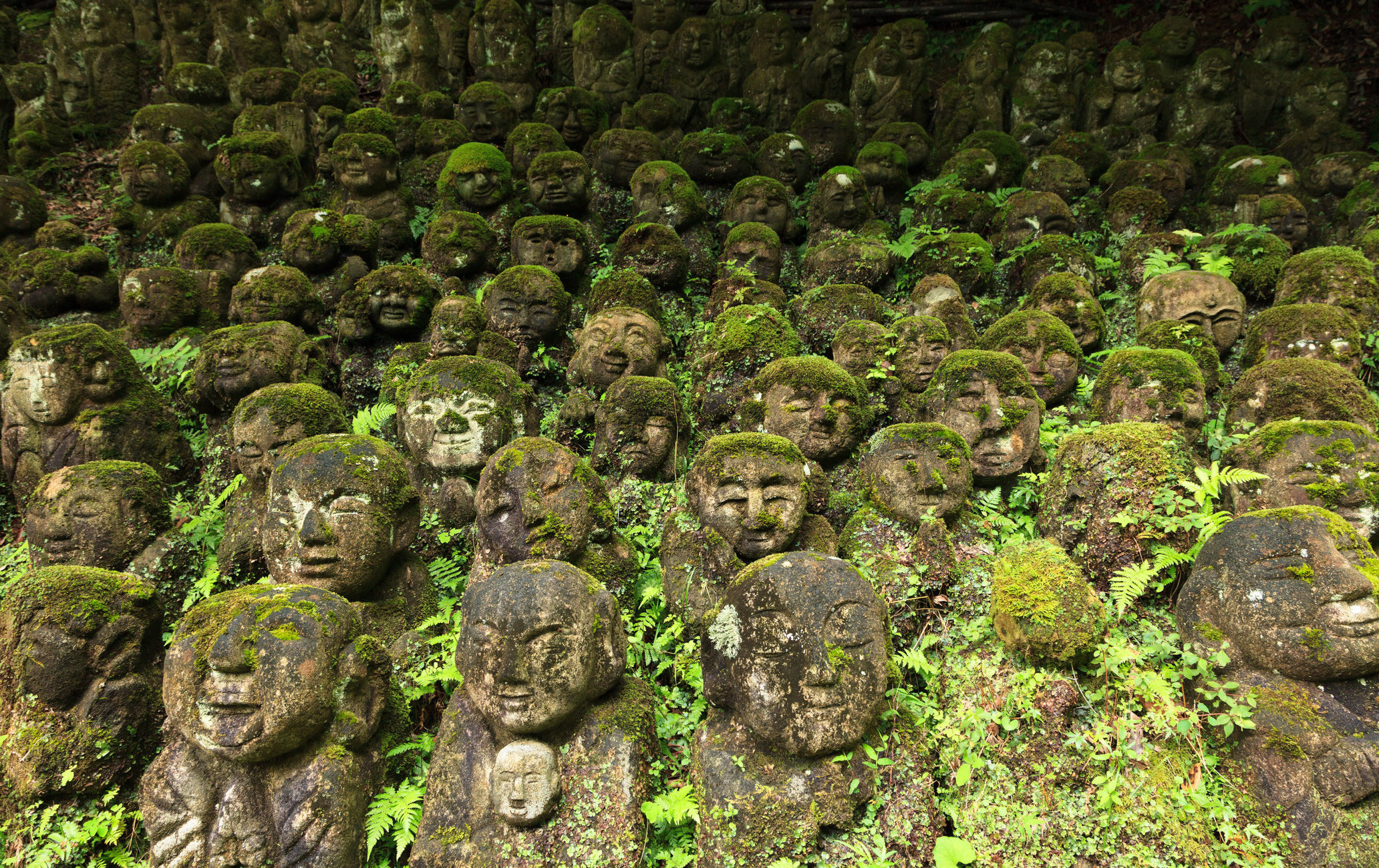 化野念仏寺の歴史と8000体無縁仏の真相｜風葬の記憶から千灯供養まで徹底解説