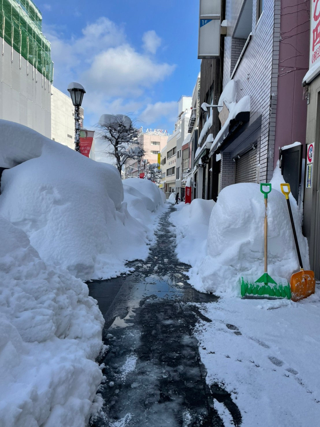 青森市の積雪量はなぜ桁違い？世界一の豪雪都市の真相と2026年最新データ