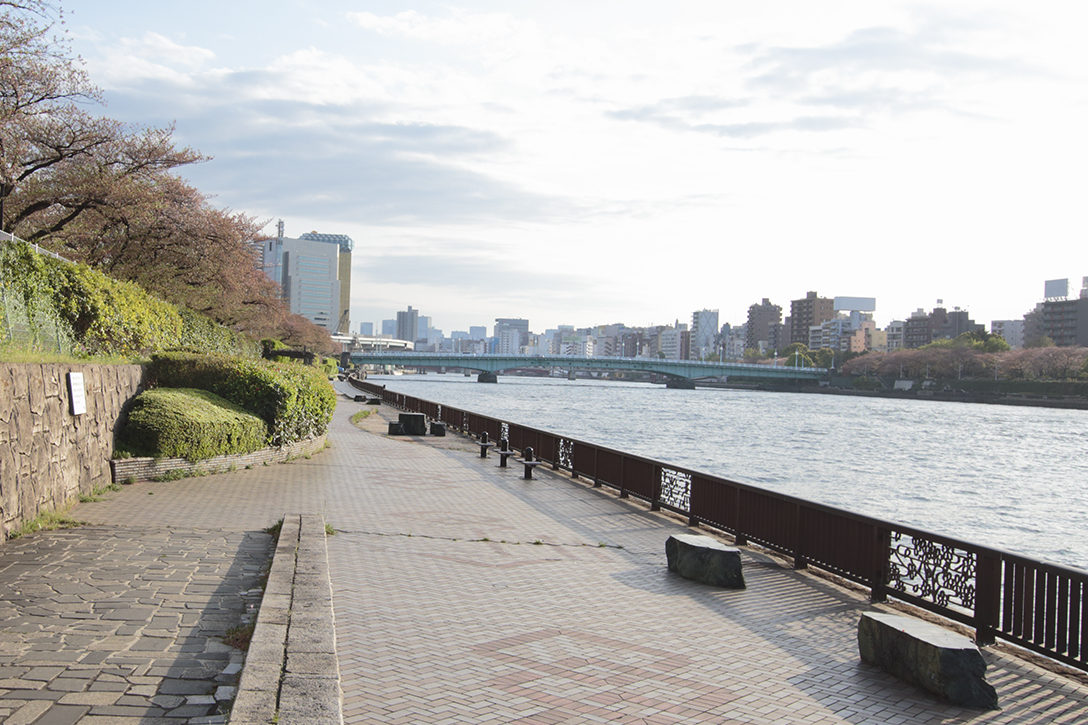 東京で花火ができる公園2026年最新！手持ち穴場と全面禁止の真相