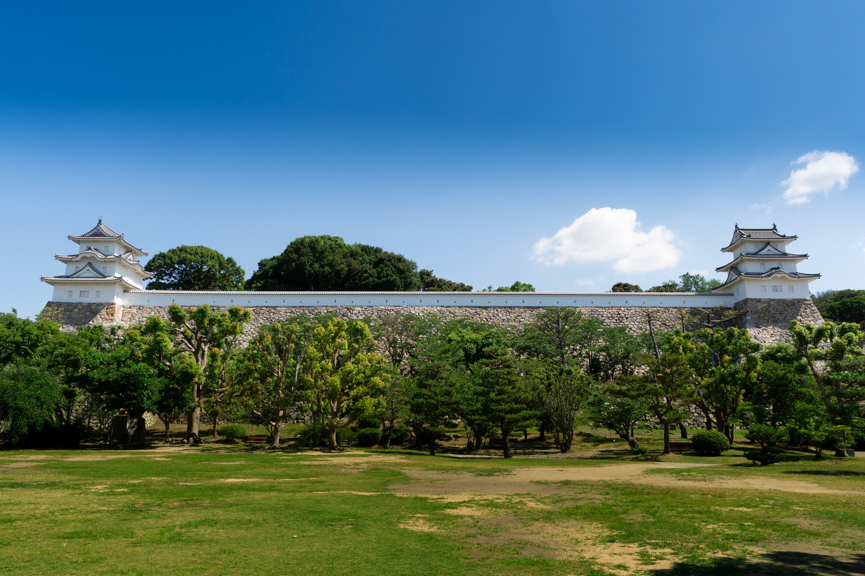 明石公園の激変と真相｜樹木伐採の波紋と2026年最新ガイド