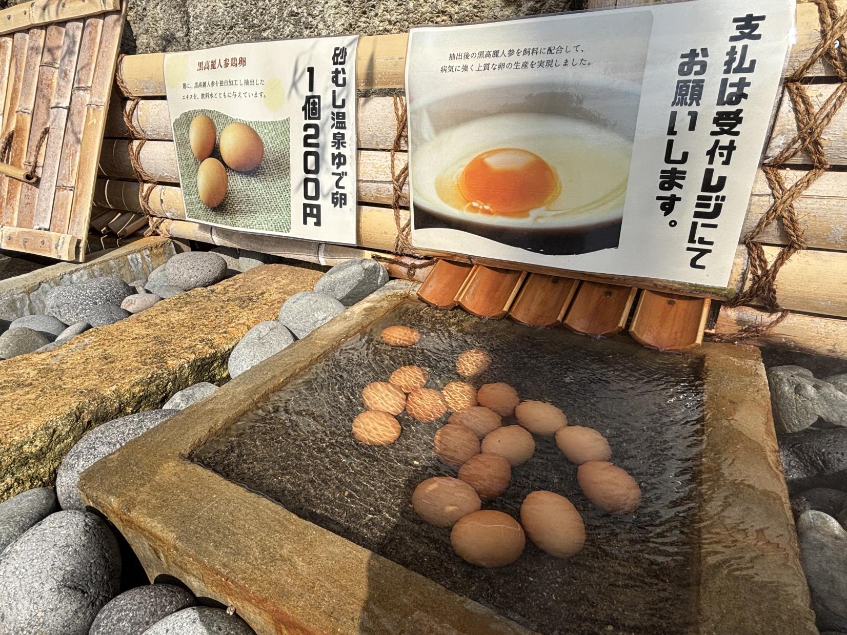 山川砂むし温泉砂湯里の再開はいつ？休館理由と復旧状況【2026最新】