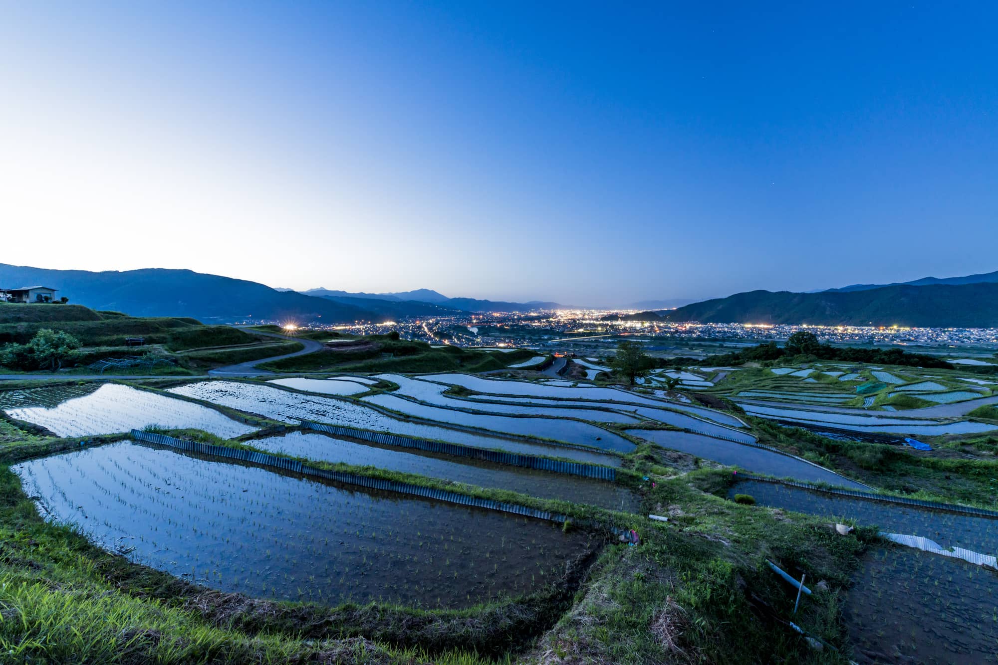 姨捨の棚田2026！水鏡の見頃・田毎の月の真相から夜景まで完全解説