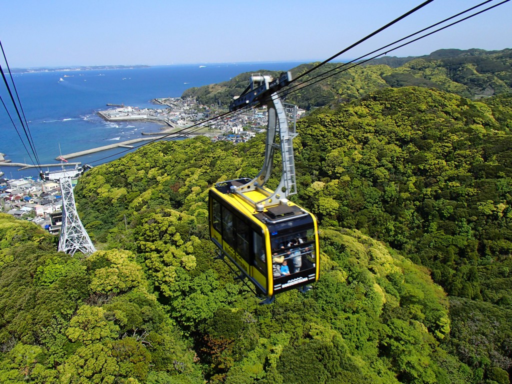 【2026年最新】館山観光スポット完全攻略！絶景と穴場海鮮ガイド