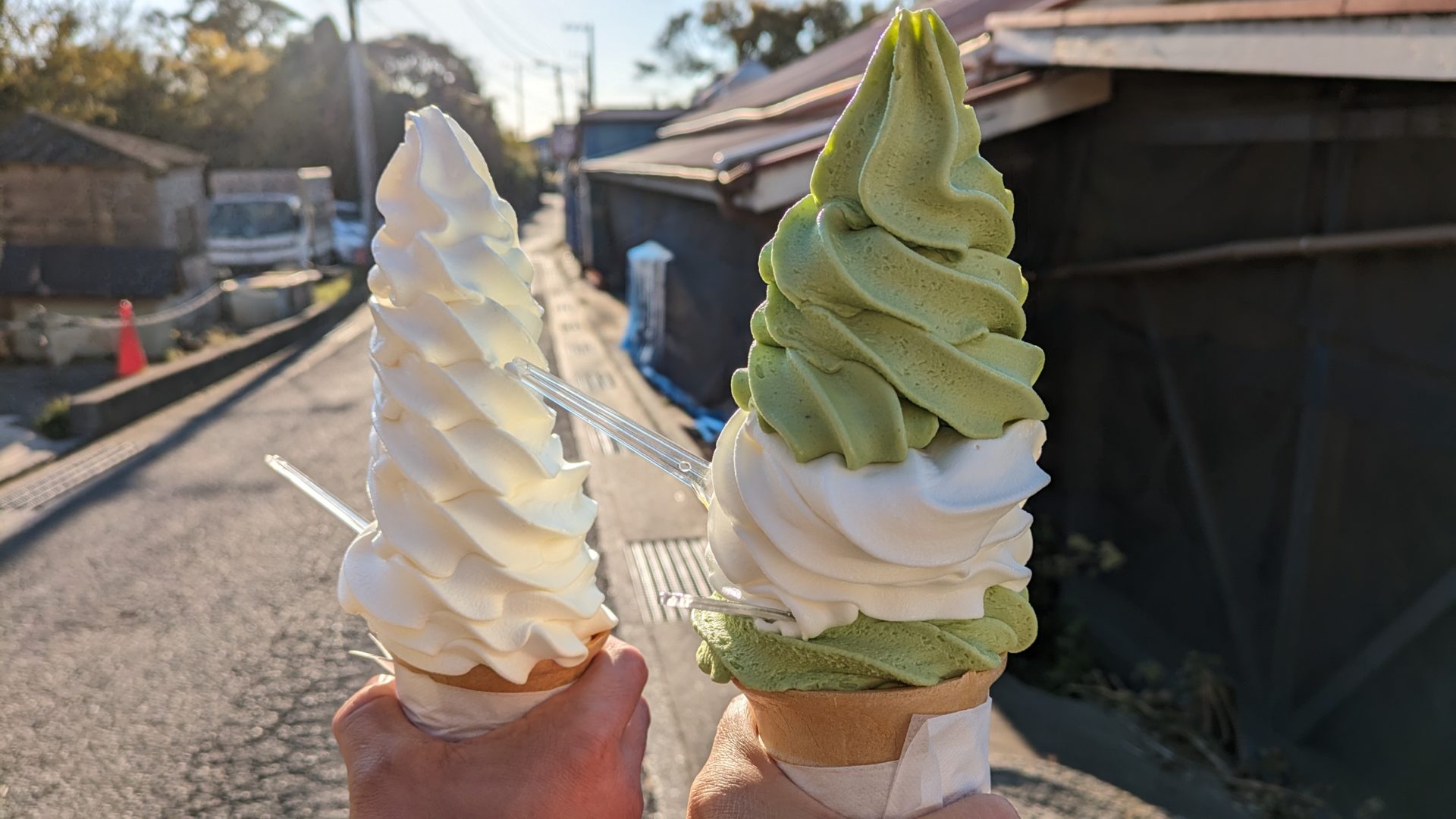 よこすか関口牧場の巨大ソフト徹底解剖！2026年最新混雑と日替わり情報