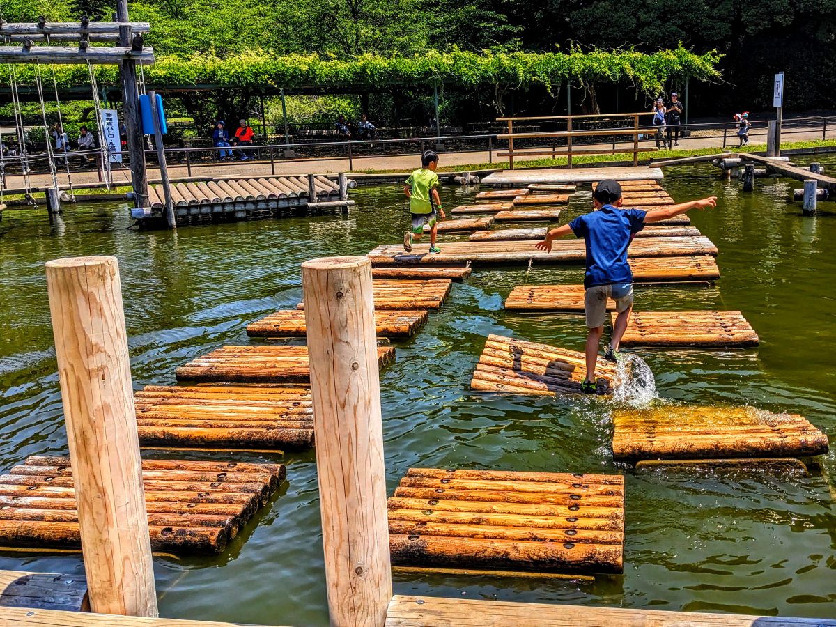 清水公園水上コースでなぜ落ちる？大人がハマる理由と完全制覇の全貌