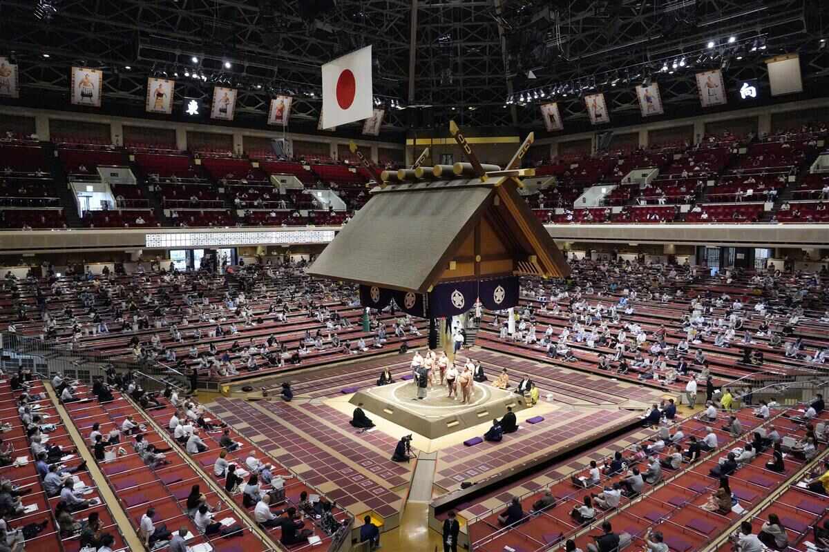 大相撲の観客数が連日満員の真相！チケット倍率高騰と再燃の理由