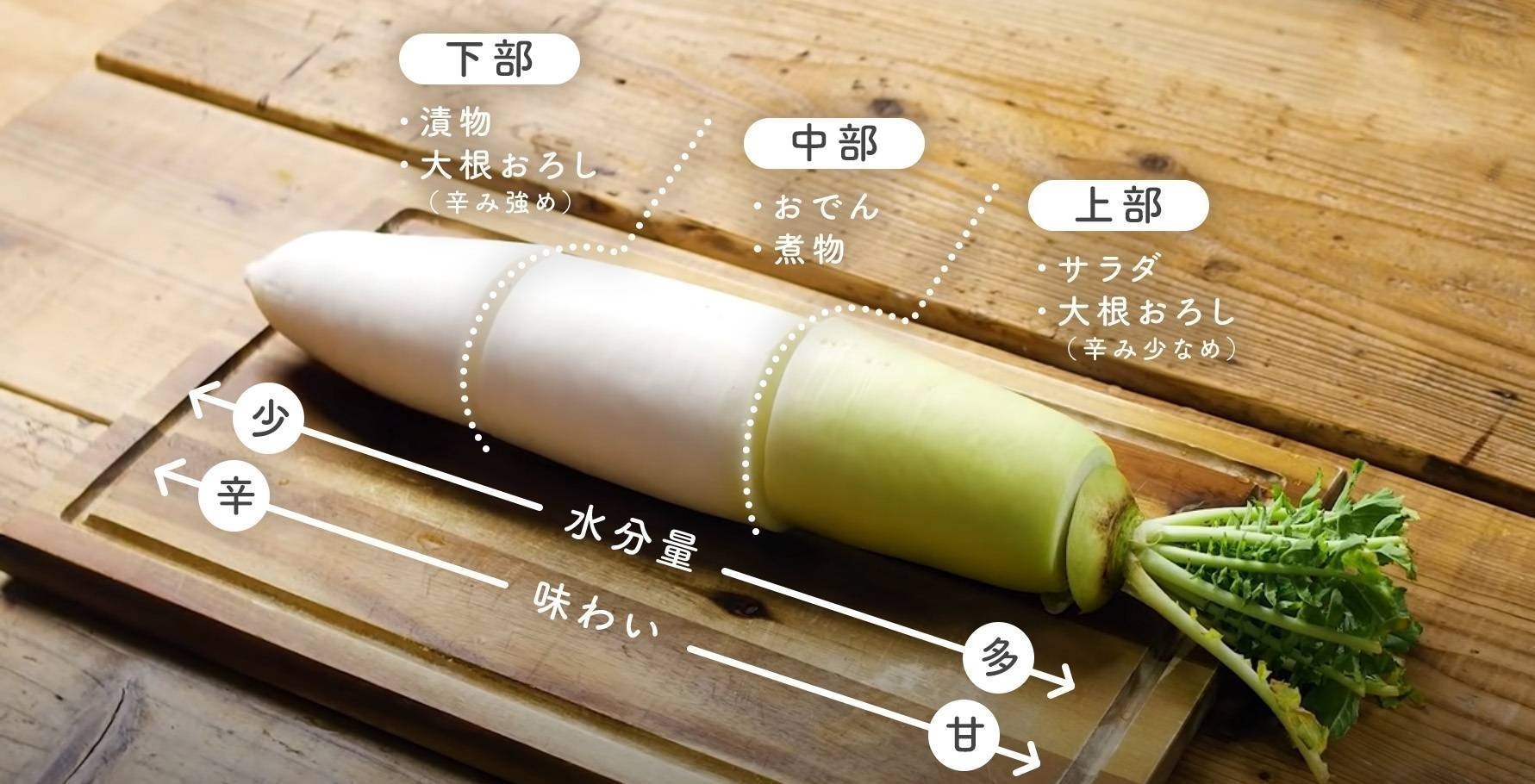 おでんの大根はどの部位が正解？劇的に味が染みるプロの極意